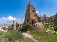 Blumenbüschel am Abstiegsweg vom Uçhisar Burgberg mit Blick zu mächtigem Feenkamin